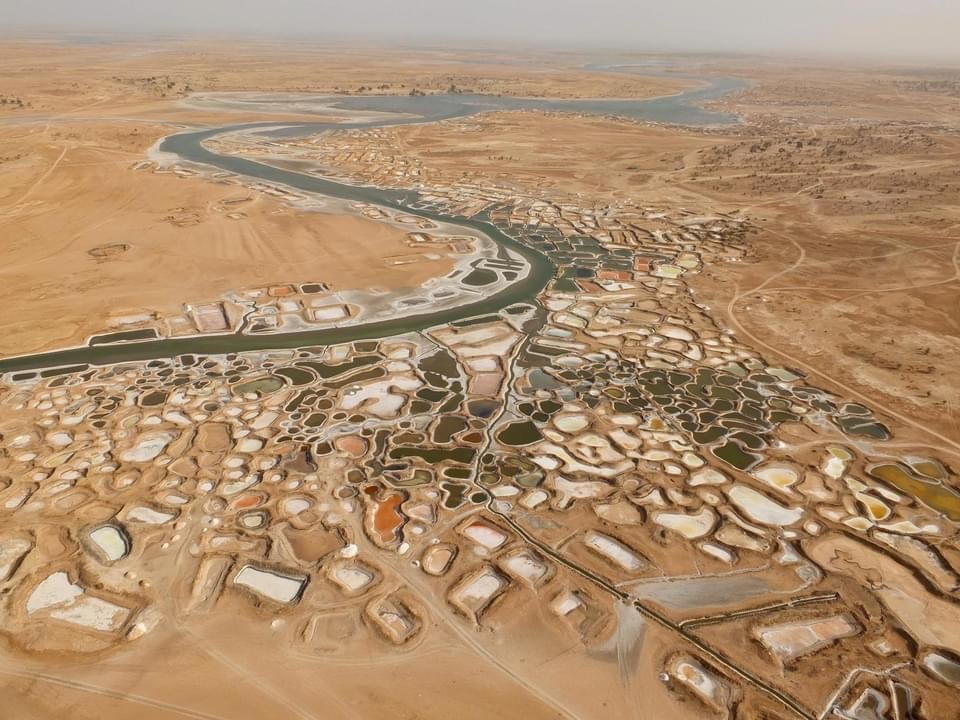 Sénégal 6
